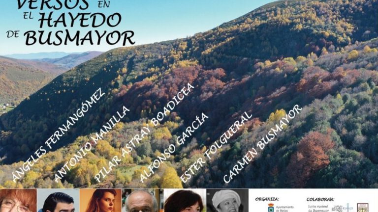 XIV ‘Versos en el Hayedo de Busmayor’